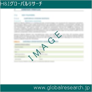 グローバルリサーチ調査レポートのイメージ